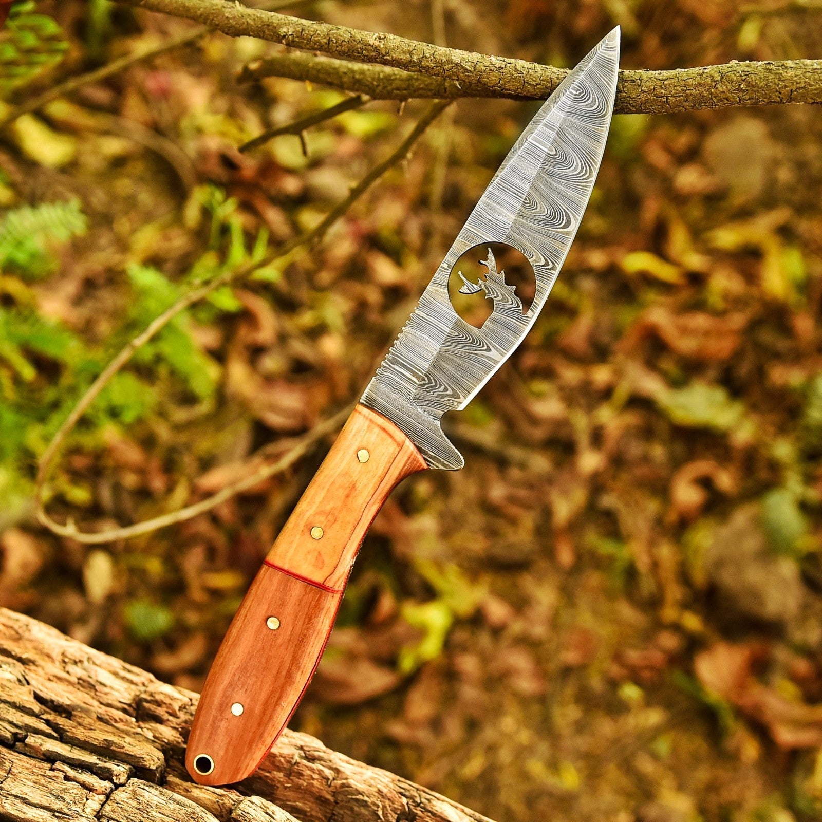 10 Inch Damascus Hunting Knife Stag Cutout with Olive Wood Handle and Sheath - Lavish Blade
