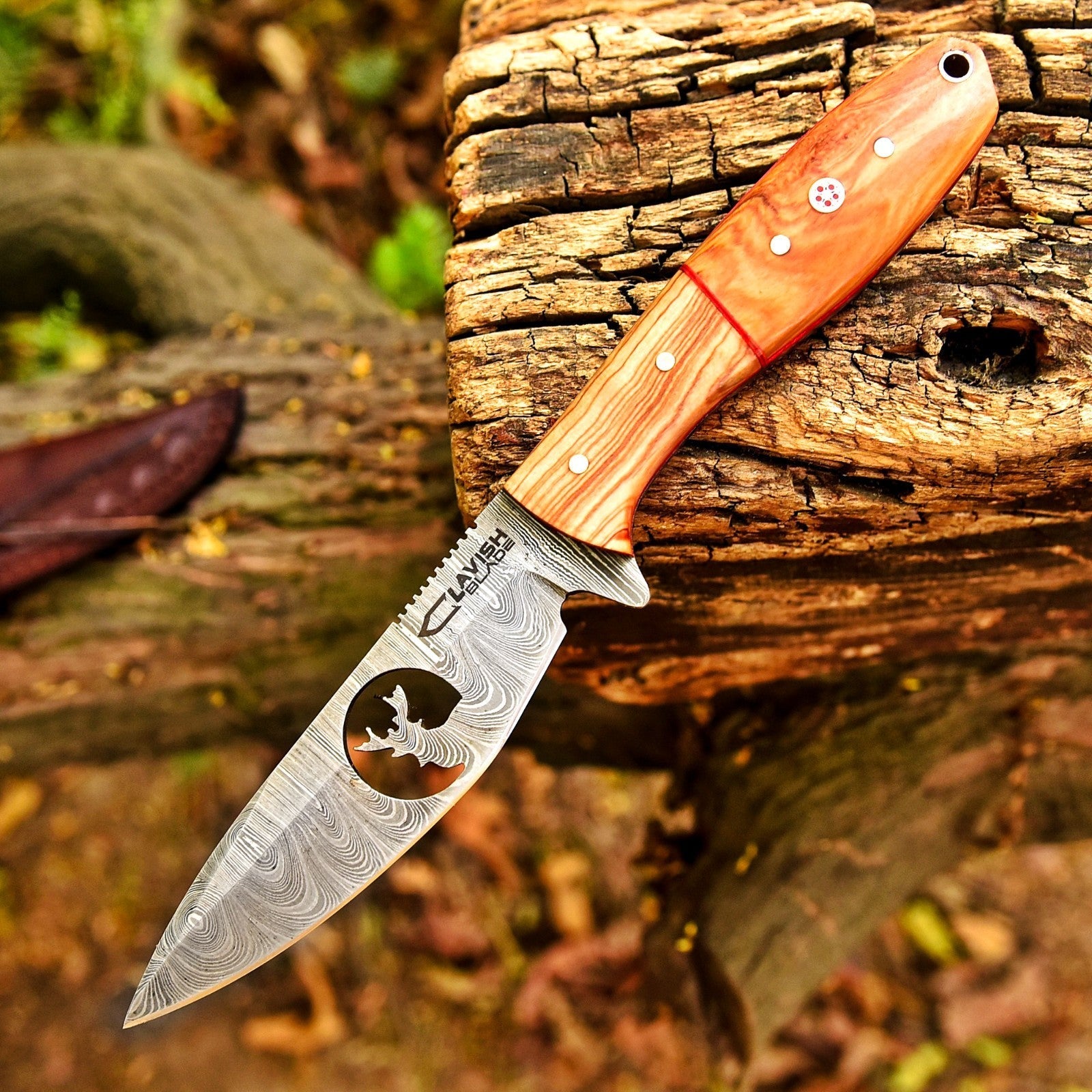 10 Inch Damascus Hunting Knife Stag Cutout with Olive Wood Handle and Sheath - Lavish Blade