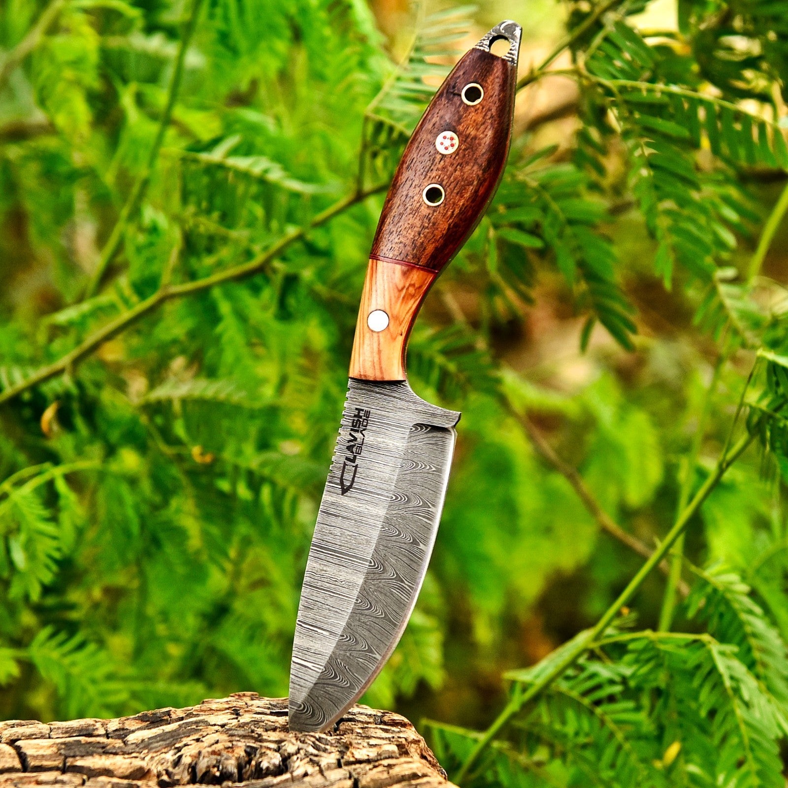 9 Inch Damascus Scout Carry Knife Two-Tone Olive Wood with Steel Pommel - Lavish Blade