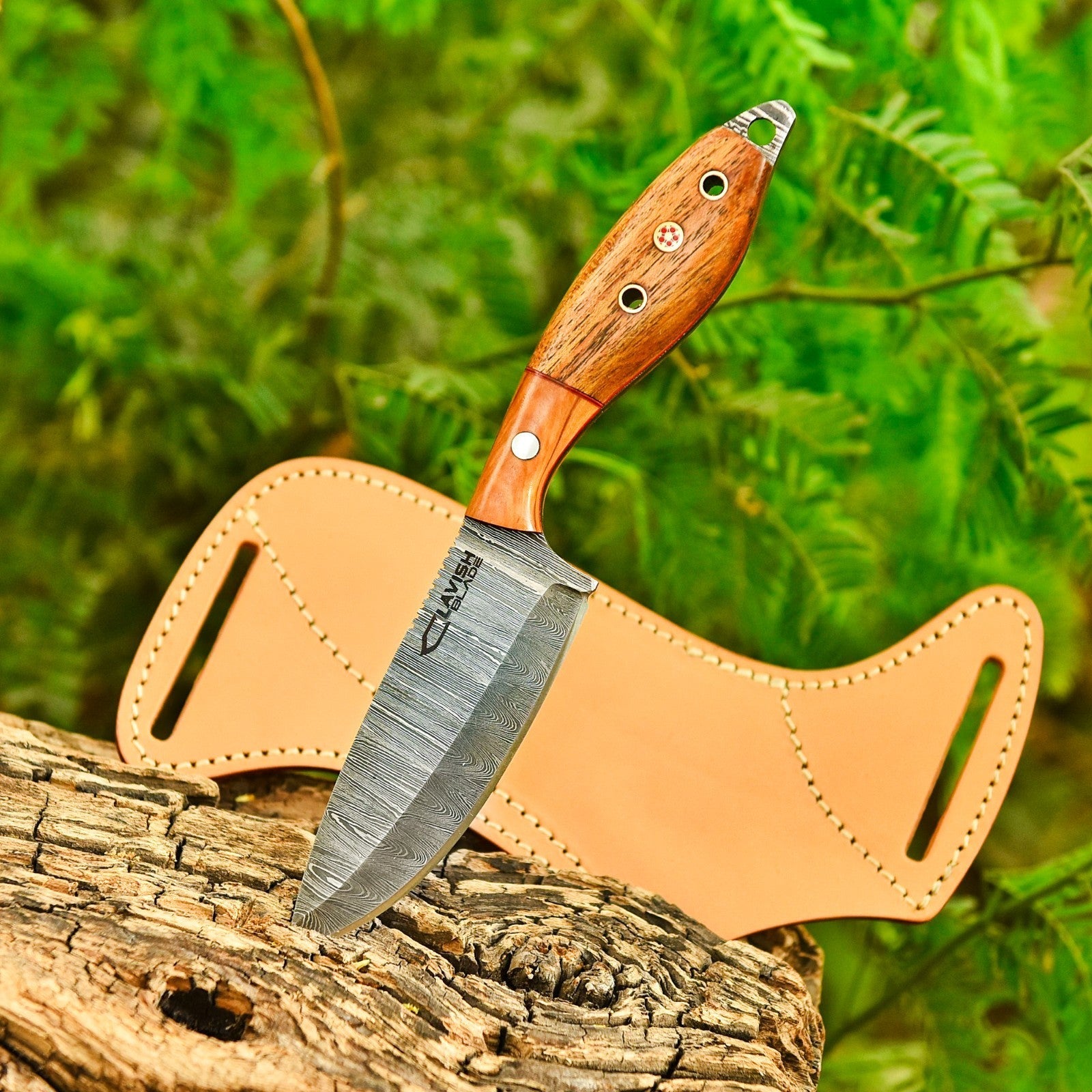 9 Inch Damascus Scout Carry Knife Two-Tone Olive Wood with Steel Pommel - Lavish Blade